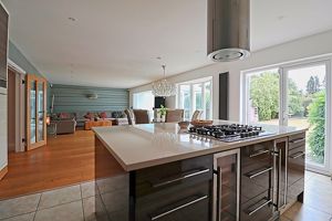 Photo 39- click for photo gallery